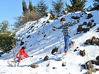 Несмотря на снегопад на Голанах, завтра занятия в школах состоятся