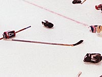 Массовая драка в ECHL. Голкипер 