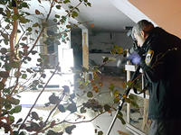 Продлен на пять суток арест подозреваемого в убийстве пожилой женщины в Ашдоде