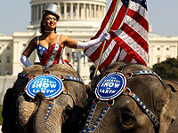 Закрывается главный цирк Америки. Ringling Bros. circus: 1881-2017. Фотогалерея
