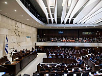 Отложено обсуждение закона о предоставлении юридического иммунитета главе правительства