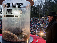 Сурок Фил из Панксутони предсказал еще шесть  недель зимы