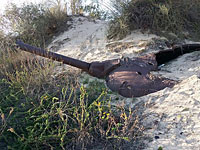 Рядом с Ницаним подросток нашел танковый снаряд