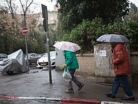 В Ашдоде автомобиль врезался в упавшее дерево