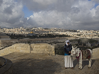 Организация исламского сотрудничества: 