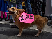 Граждане Швеции хотят знать: что курит президент США Дональд Трамп? 
 