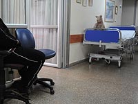 Налоговое управление арестовало счета больницы 