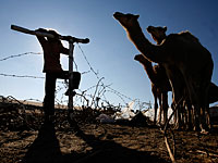 Беспорядки возле Басмат-Табун: камнем легко ранен полицейский