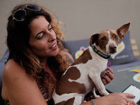 Объявлен тендер на строительство собачьего пансиона в аэропорту Бен-Гурион