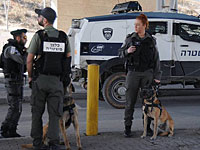 Полиция закрыла торговый центр 