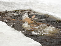 СМИ сообщили о рекламе российской бани: