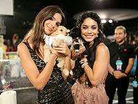 Обнаженная с собачкой: новый клип Эмили Ратажковски собрал миллион просмотров за сутки