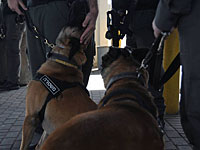 Жители деревни Акаб обвиняются в незаконном хранении армейского оружия и инвентаря