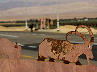 Из зоопарка при