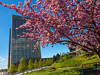 Европейский суд оставил в силе санкции против 