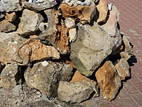 Школьники из Кирьят-Шмоны устроили похороны живому однокласснику