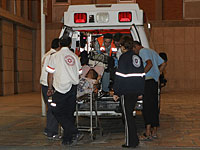 В Гиват-Аде 12-летний ребенок укушен гадюкой