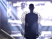 Мальдивская модель, 