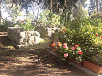 Шестеро израильтян, пострадавших за рубежом, признаны жертвами террора