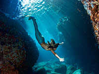 В  Калифорнии задержана 