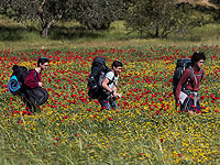 В дни Песаха израильские подростки отправятся в походы