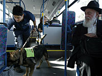 Военные проверяют информацию об обстреле автобуса возле поселка Бейт а-Арава 