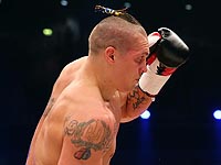 Ломаченко и Усик защитили чемпионские пояса. Гвоздик нокаутировал 