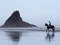 Во имя благотворительности: скачки на побережье Тихого океана. Фоторепортаж