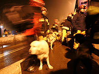 Число жертв обрушения жилого дома в Польше увеличилось до шести