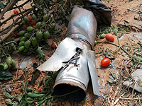 ЦАХАЛ: территория Израиля была обстреляна из Синая, зафиксировано падение ракеты