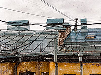 В Санкт-Петебурге продолжается весенний снегопад