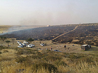 Полиция распространила кадры тушения пожара в лесу Двира