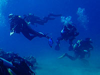 Во Французской Полинезии погибли трое дайверов, в их числе двое россиян