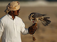 СМИ: в Ираке освобождены похищенные в 2015 году катарские охотники
