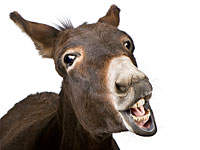 Полицейские спасли от жестокого обращения 