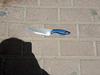 Задержан араб, извлекший нож в момент проверки документов