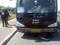 ДТП на севере Израиля, погиб велосипедист