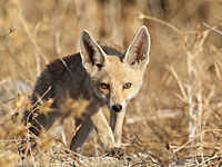 На военной базе