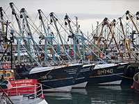 Тринадцать российских моряков голодают на арестованном в Намибии траулере 