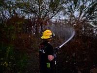 Из-за пожара в парке Британия перекрыто 353-е шоссе