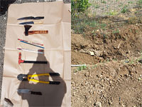 Супруги подозреваются в том, что убили соседа, расчленили тело и закопали в парке