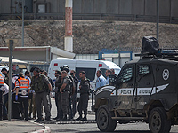 14-летняя арабка отправилась с ножом на КПП, чтобы отомстить за смерть 