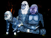 Светящийся зоопарк в Сиднее. Фоторепортаж