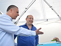 На выборах в