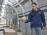 Дорога, ведущая к Храму: археологи подтвердили описание Иосифа Флавия 