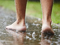 В Национальном парке Уэльса обнаружен