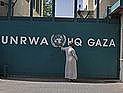 UNRWA выдало снимок сирийской девочки за иллюстрацию 