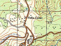 В Наби Салахе военнослужащие ранили палестинского араба в ходе задержания