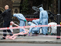 Шеф полиции Лондона: все три теракта были организованы местными террористами