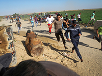 Беспорядки на границе сектора Газы: арабы жгут покрышки и штурмуют забор безопасности